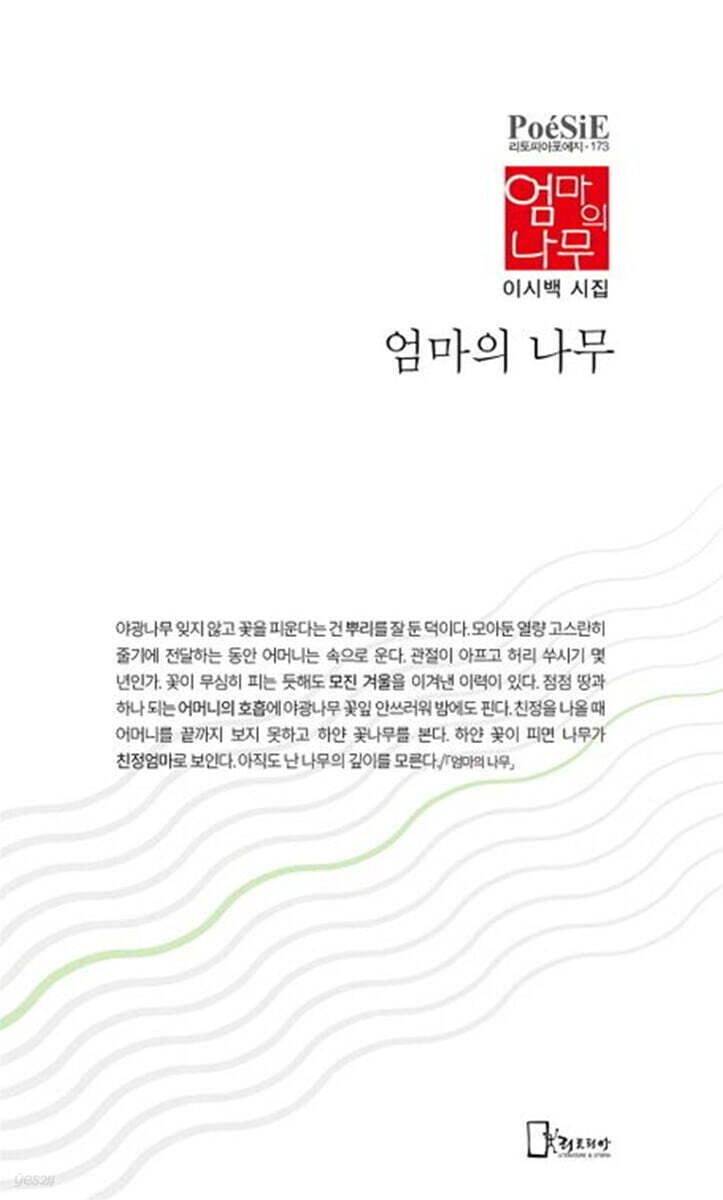 엄마의 나무