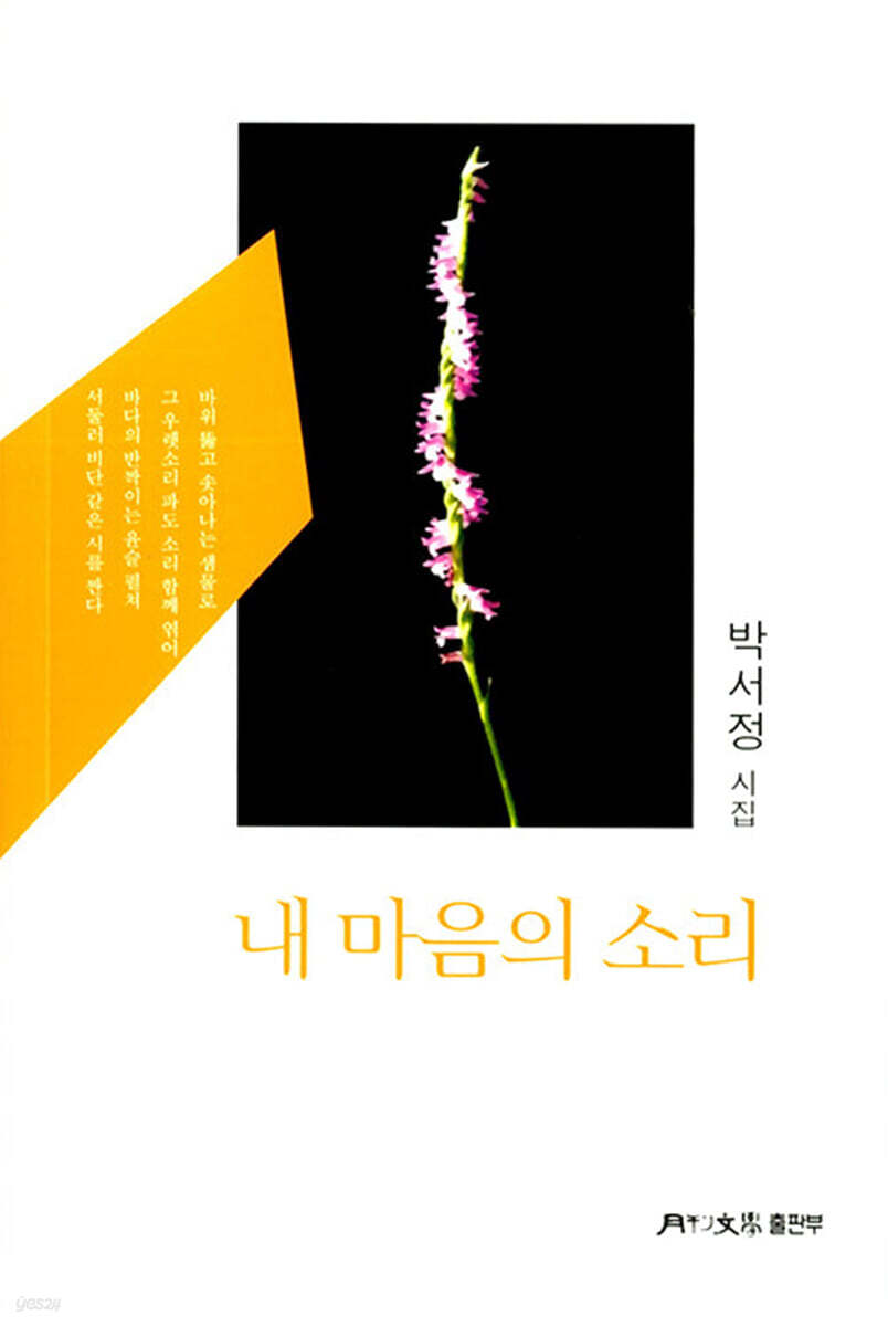 내 마음의 소리