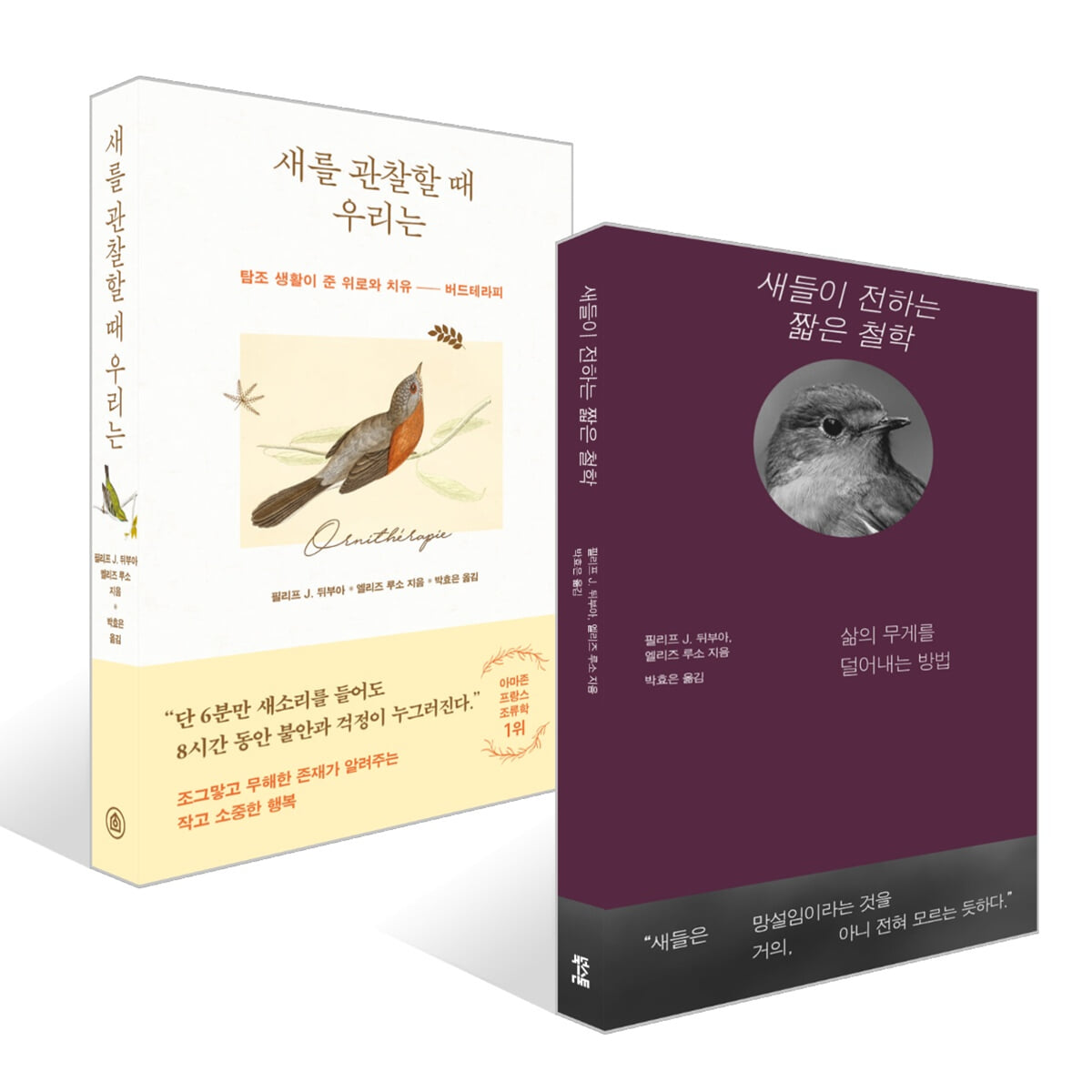 새들이 전하는 짧은 철학 + 새를 관찰할 때 우리는 세트