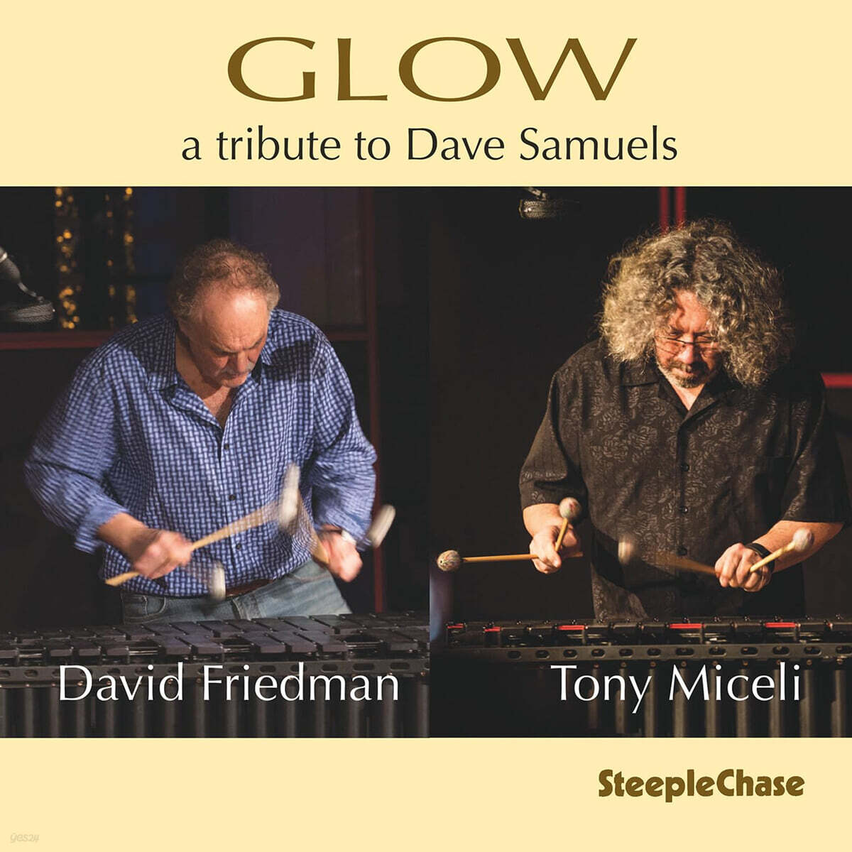 David Friedman &amp; Tony Miceli (데이비드 프리드먼 &amp; 토니 미첼리) - Glow