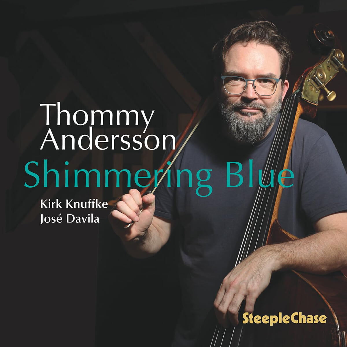 Thommy Andersson (토미 앤더슨) - Shimmering Blue