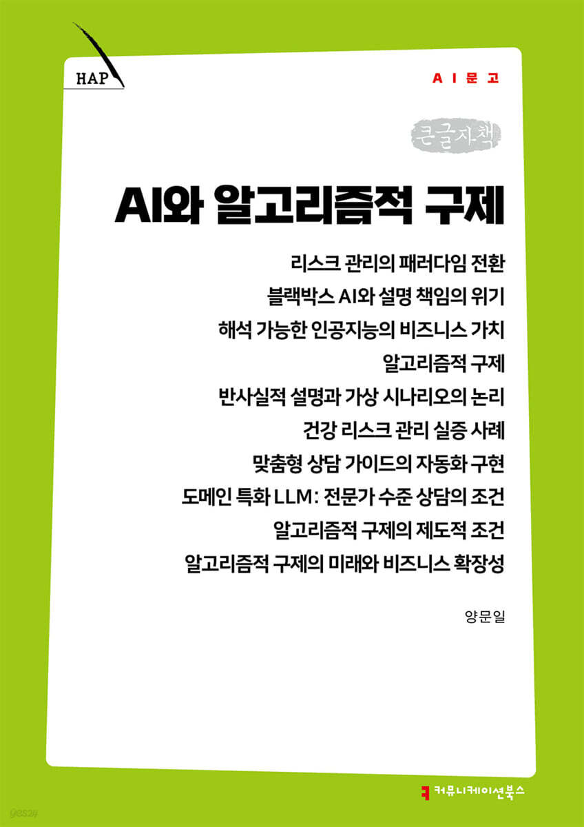 AI와 알고리즘적 구제 (큰글자책)
