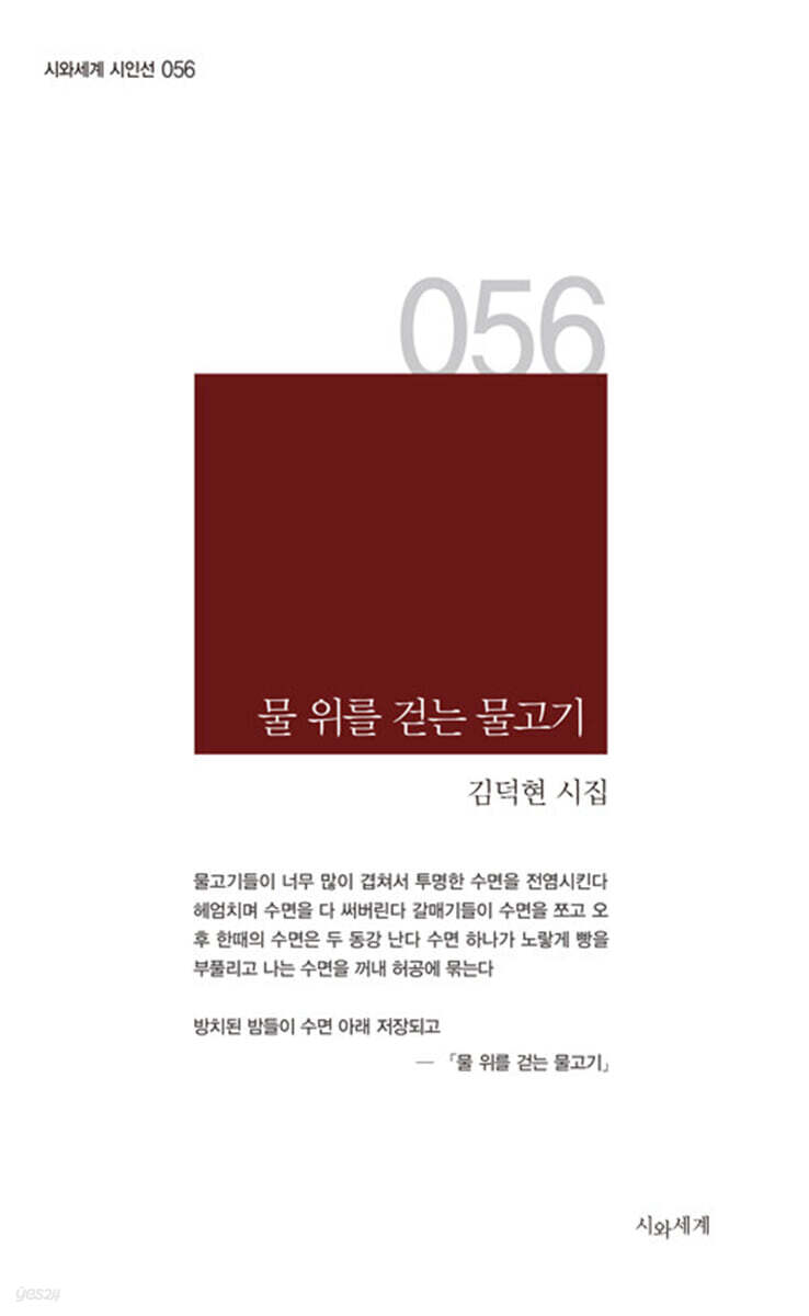 물 위를 걷는 물고기