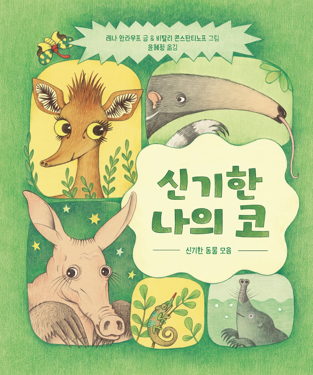 신기한 나의 코