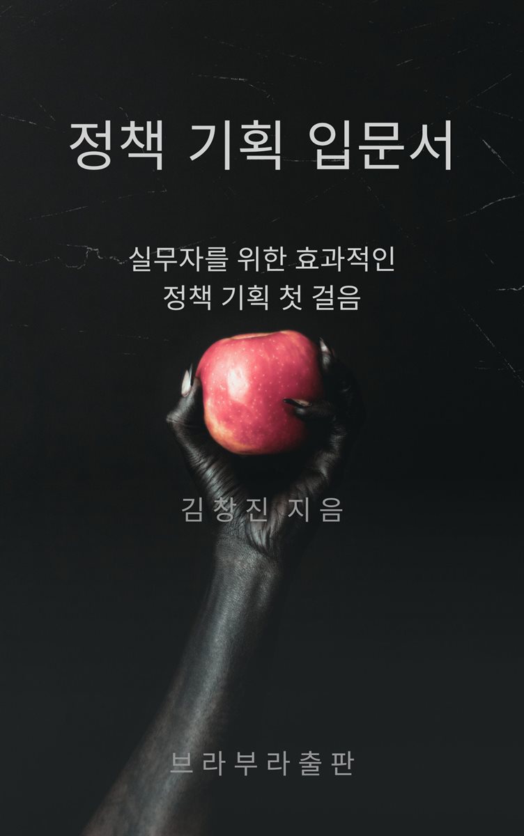 정책 기획 입문서
