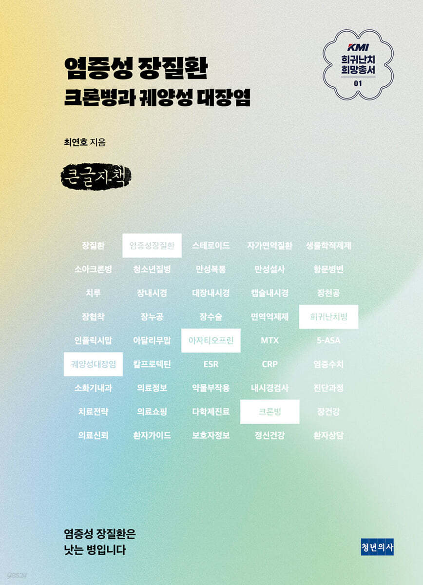 KMI 희귀난치 희망총서1 : 염증성 장질환 (큰글자책)