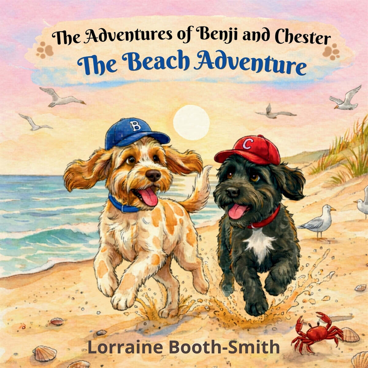 The Adventures of Benji and Chester
