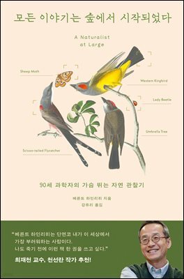 모든 이야기는 숲에서 시작되었다