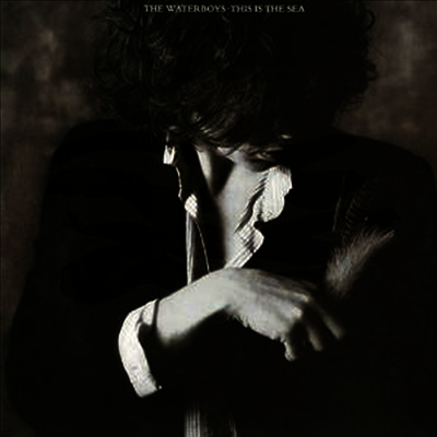 Waterboys — This Is The Sea (Remastered) 앨범 커버