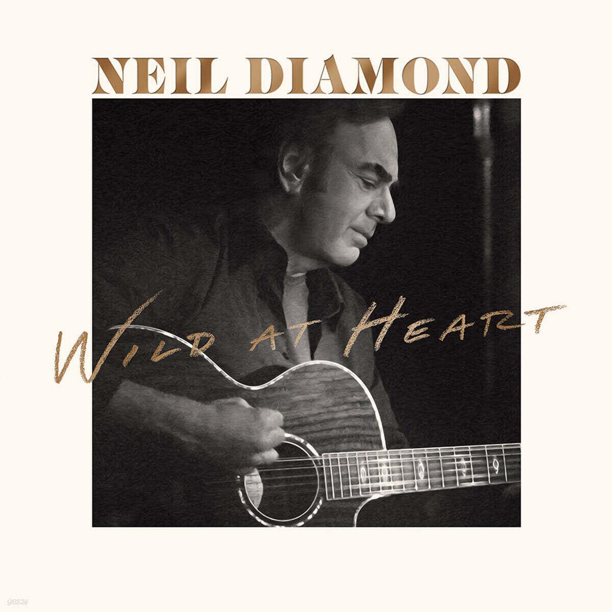 Neil Diamond (닐 다이아몬드) - Wild At Heart