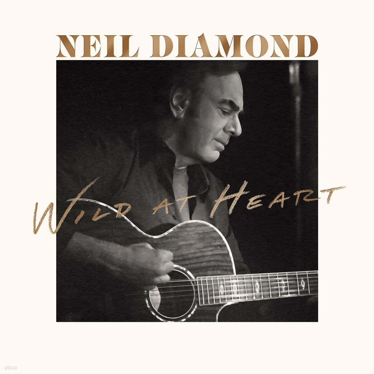 Neil Diamond (닐 다이아몬드) - Wild At Heart [LP]