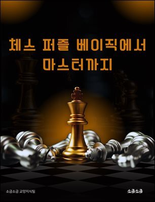 체스 퍼즐 베이직에서 마스터까지