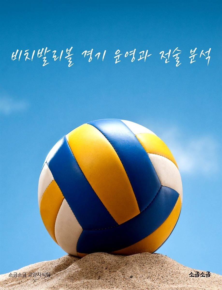비치발리볼 경기 운영과 전술 분석