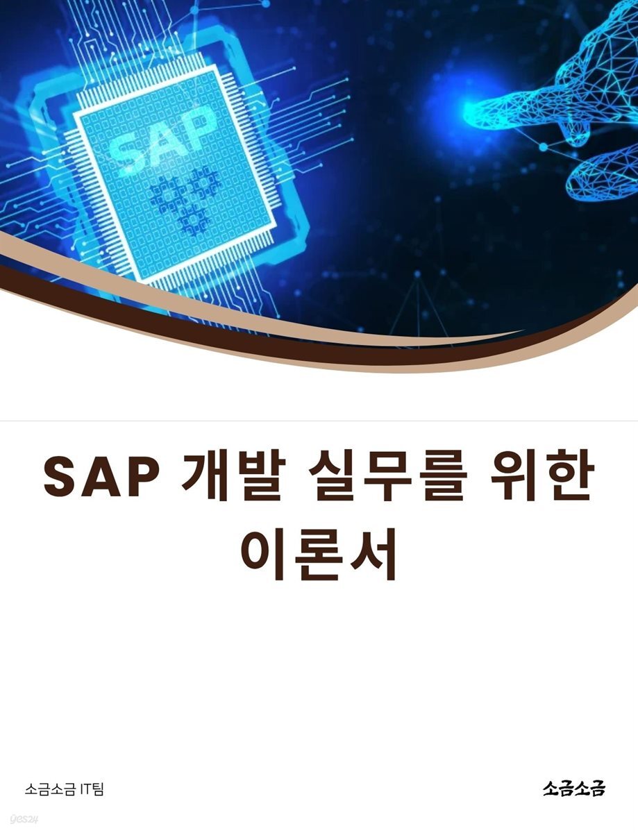 SAP 개발 실무를 위한 이론서