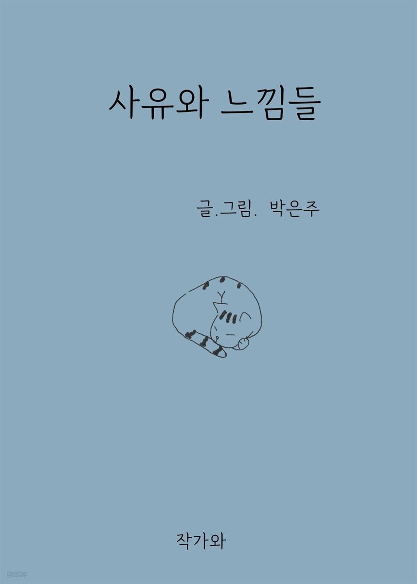 사유와 느낌들