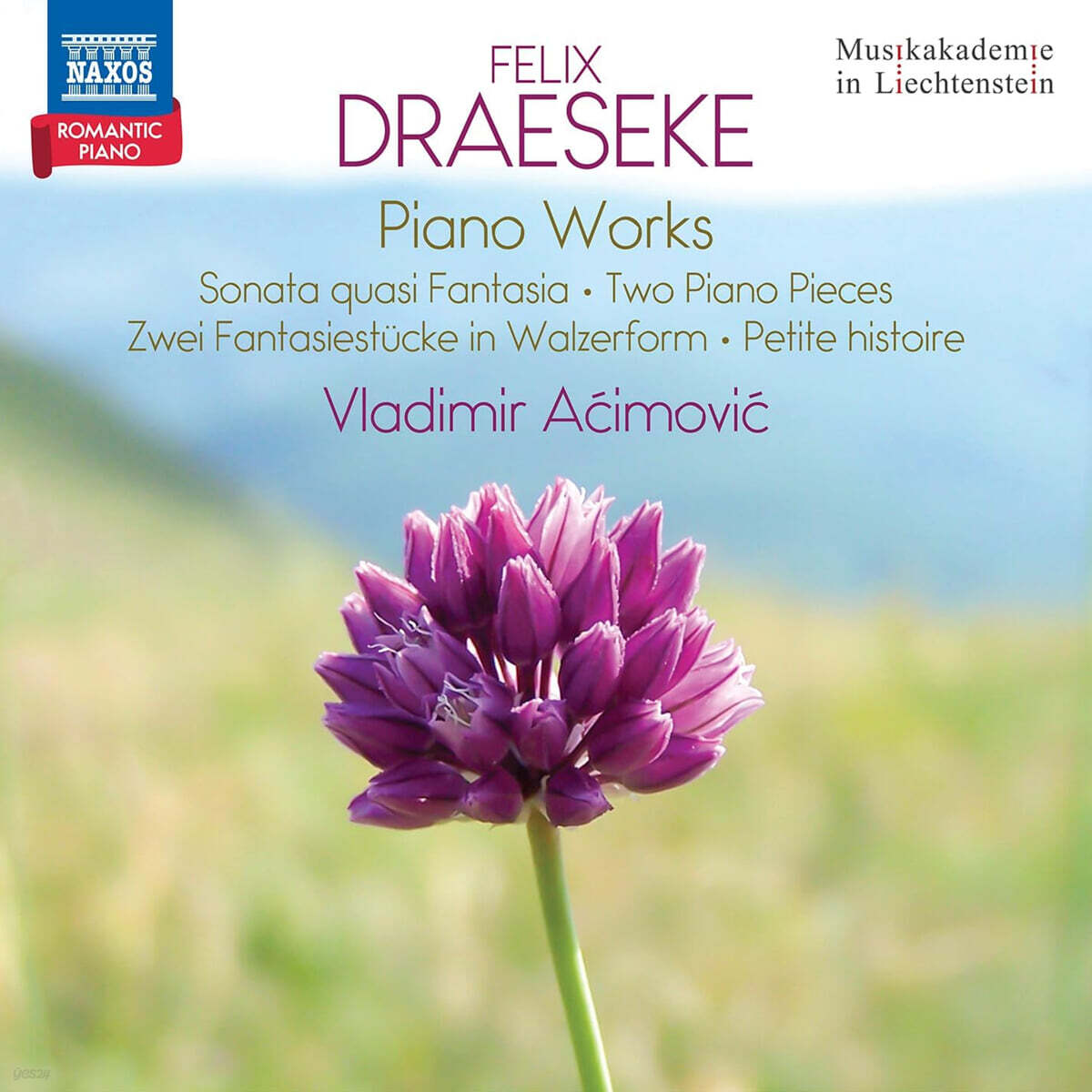 Vladimir Acimovic 드레제케: 피아노 작품 (Draeseke: Piano Works - Romantic Piano Vol. 9)