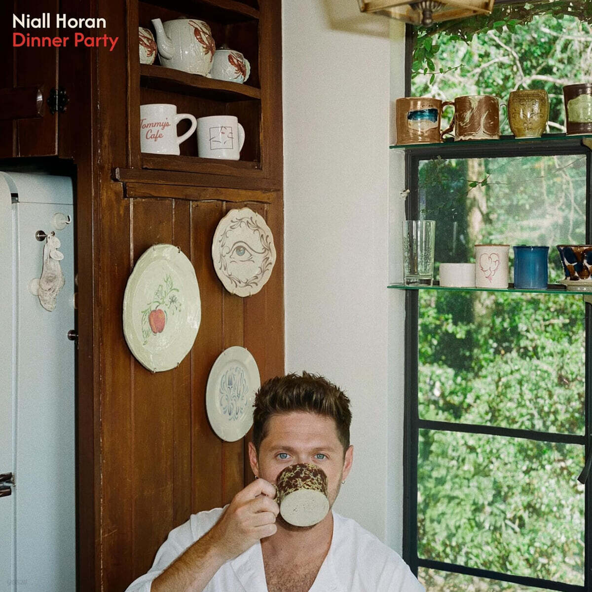 Niall Horan (나일 호란) - Dinner Party