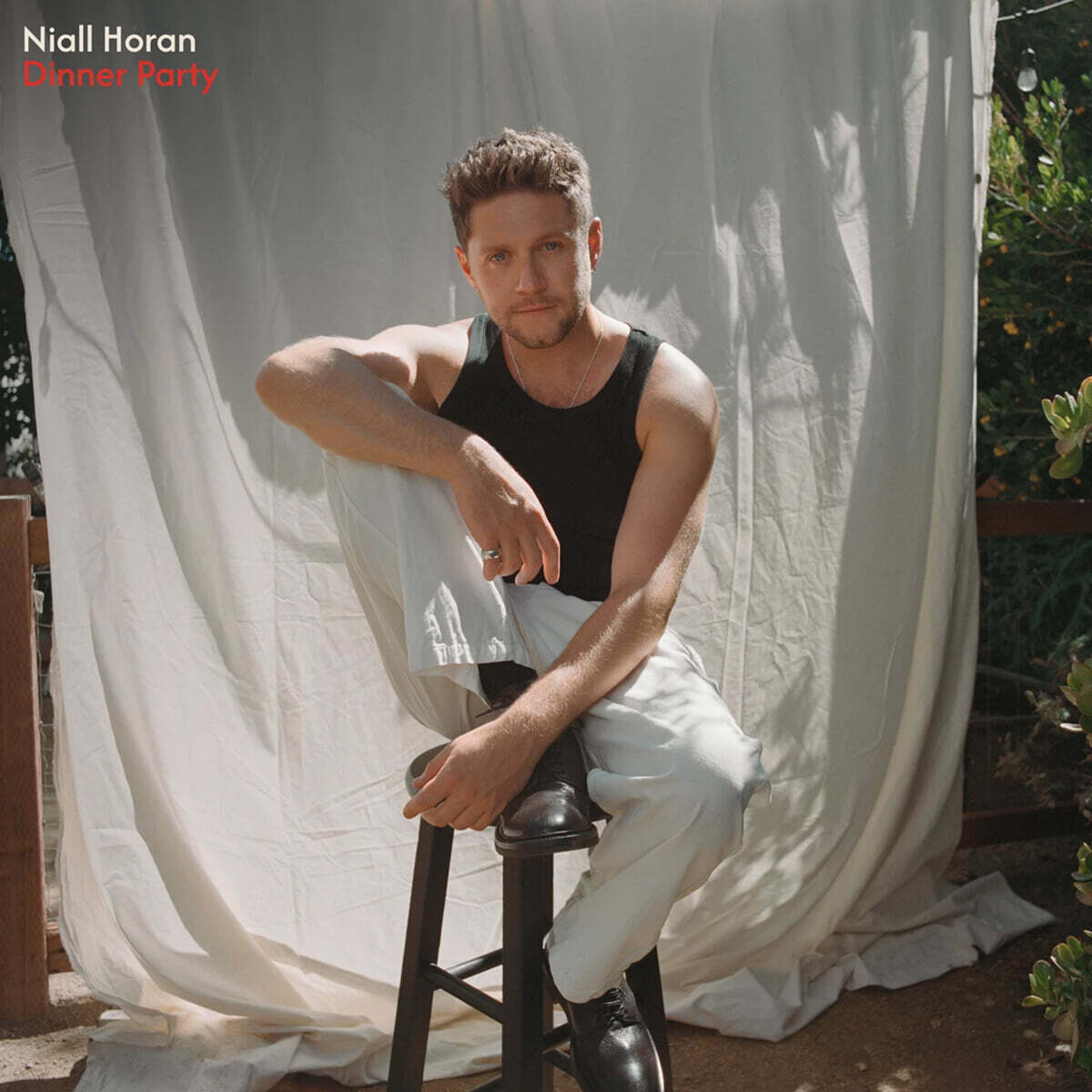 Niall Horan (나일 호란) - Dinner Party [레드 컬러 LP]