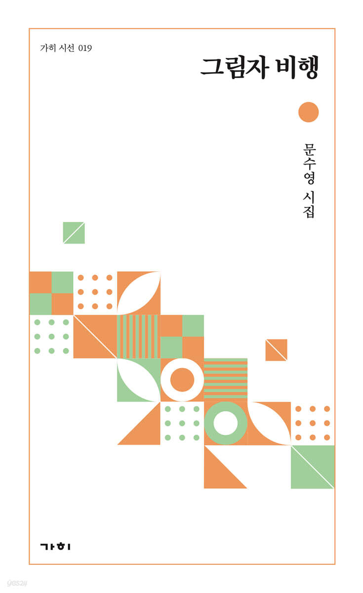 그림자 비행