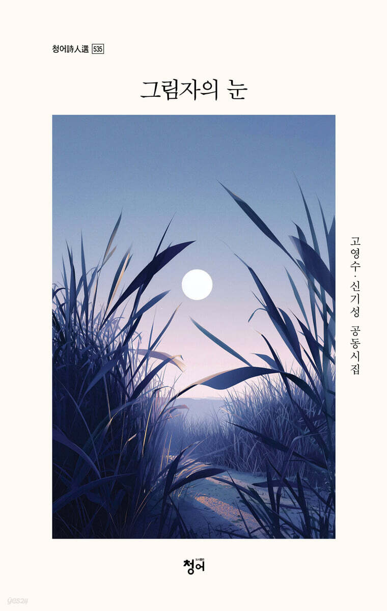 그림자의 눈
