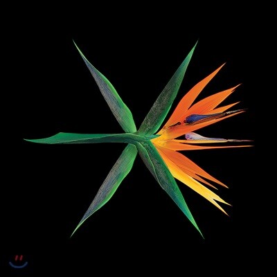 [중고-상] 엑소 - 정규 4집 The War (Chinese Ver.) [Regular A/Regular B/Private 중 랜덤 발송]