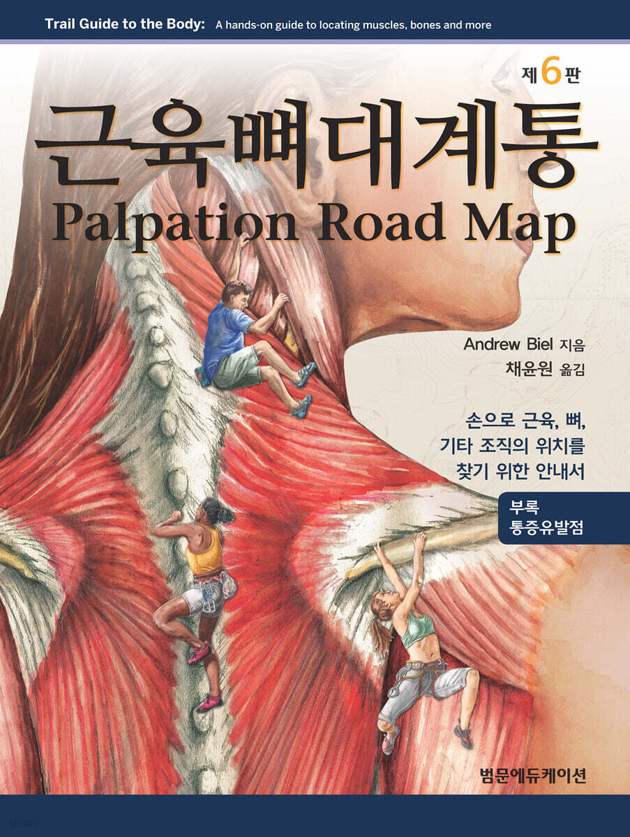 근육뼈대계통