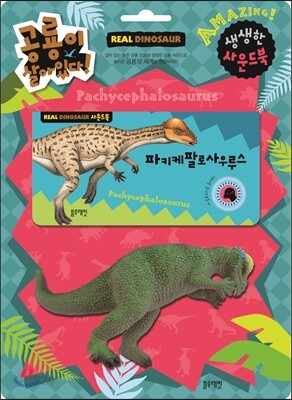 공룡이 살아있다 (파키케팔로사우루스)