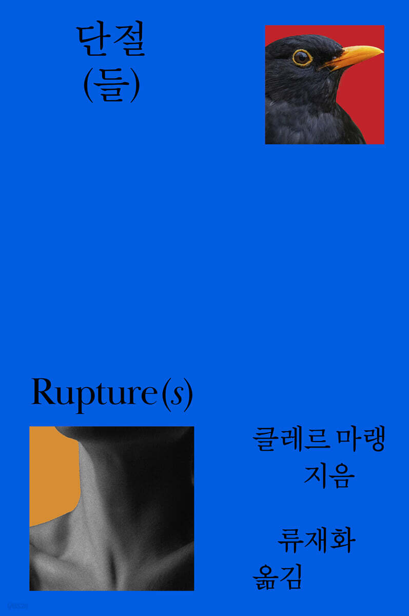 단절(들)