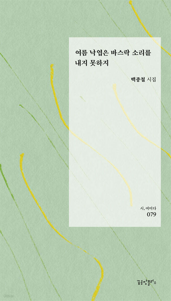 여름 낙엽은 바스락 소리를 내지 못하지