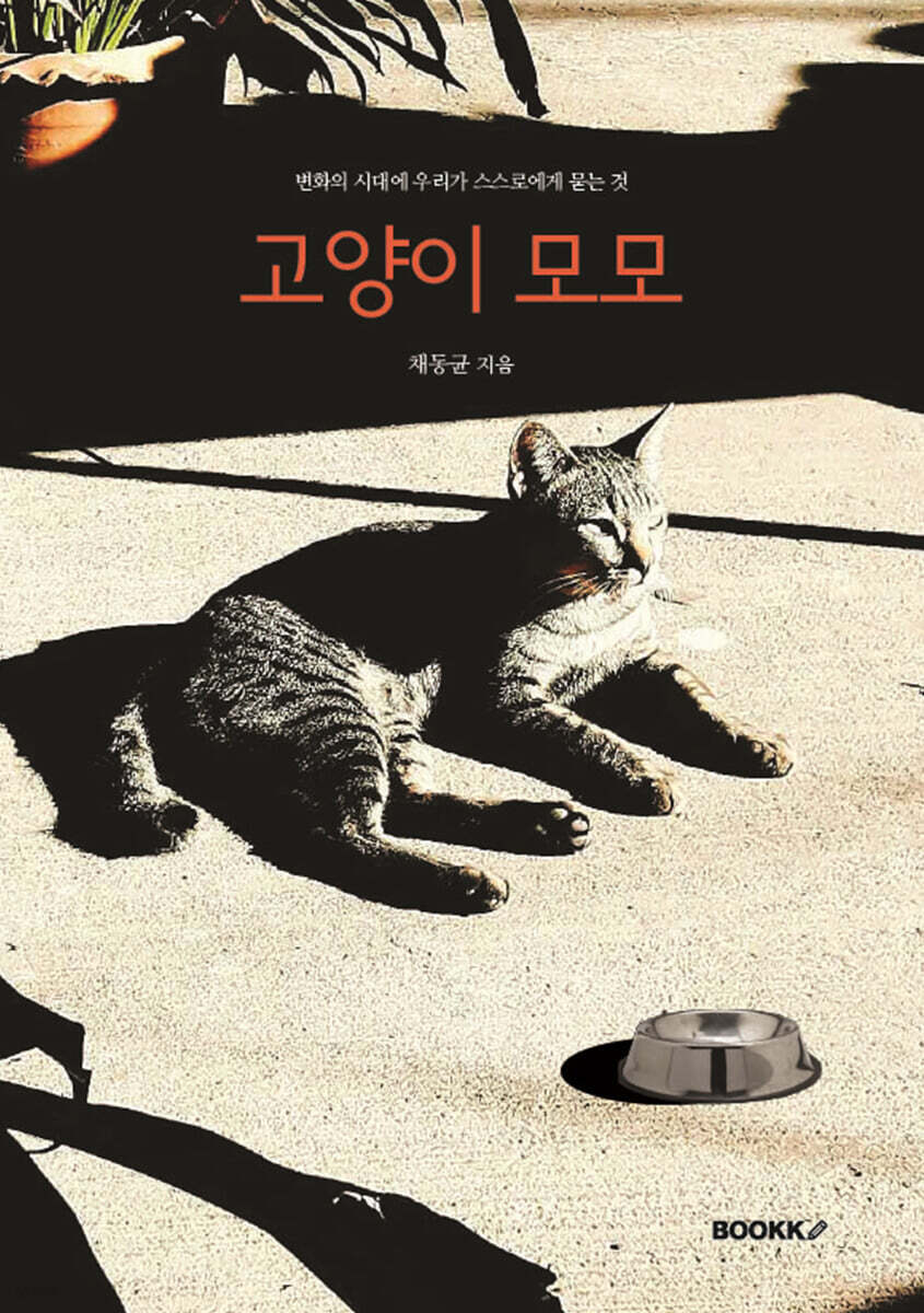 고양이 모모