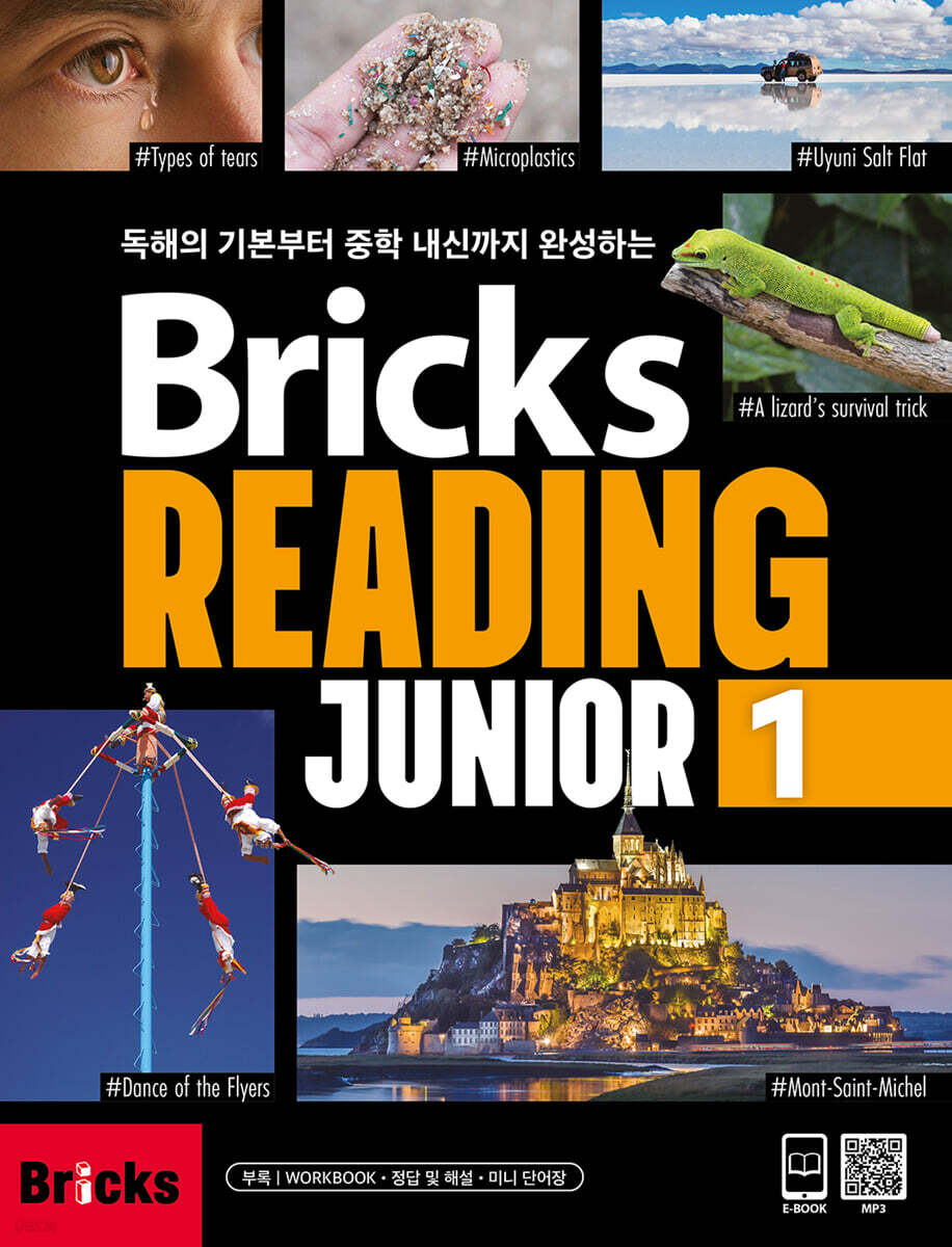Bricks Reading Junior 1