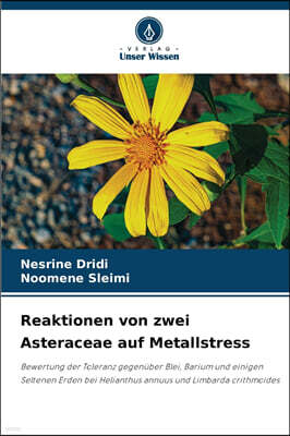 Reaktionen von zwei Asteraceae auf Metallstress