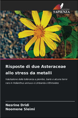 Risposte di due Asteraceae allo stress da metalli