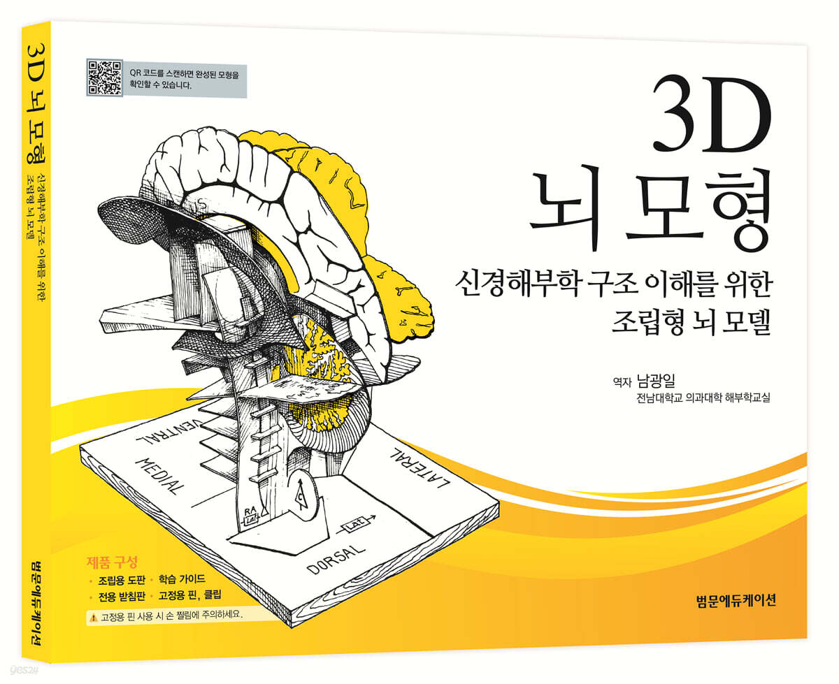 3D 뇌 모형
