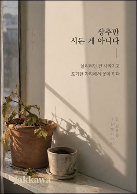 상추는 시든 게 아니다