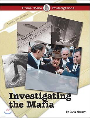 Investigating the Mafia