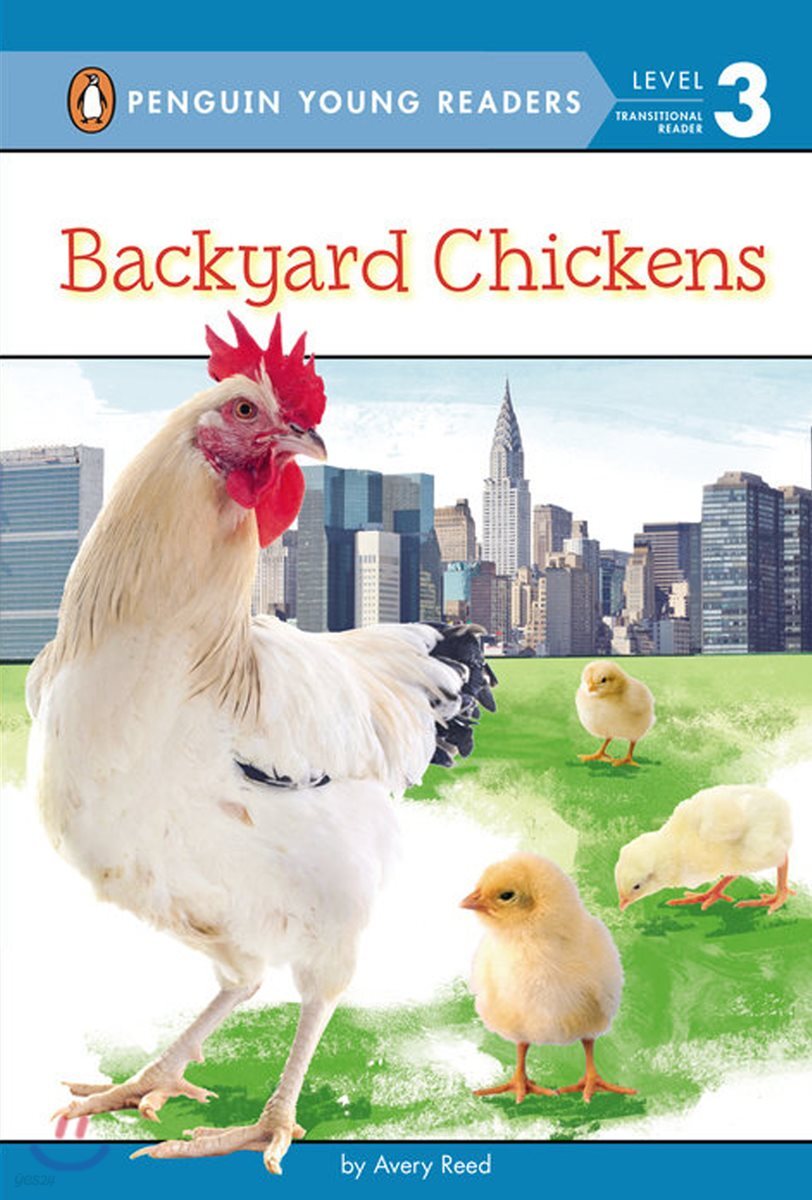 Backyard Chickens