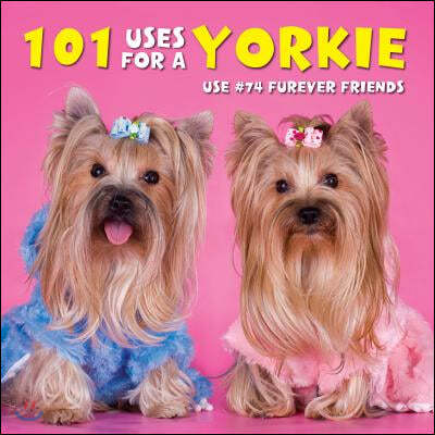 101 Uses for a Yorkie