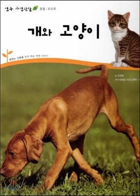 개와 고양이 (동물 포유류)