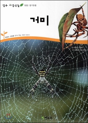 거미 (동물 절지동물)