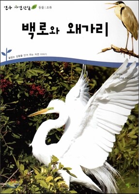백로와 왜가리 (동물 조류)