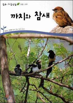 까치와 참새 (동물 조류)