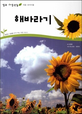 해바라기 (식물 속씨식물)