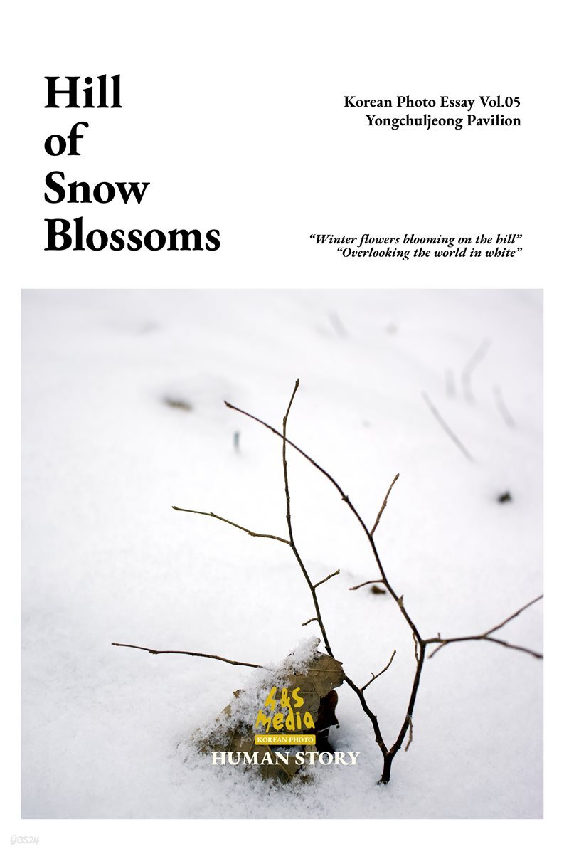 Hill of Snow Blossoms