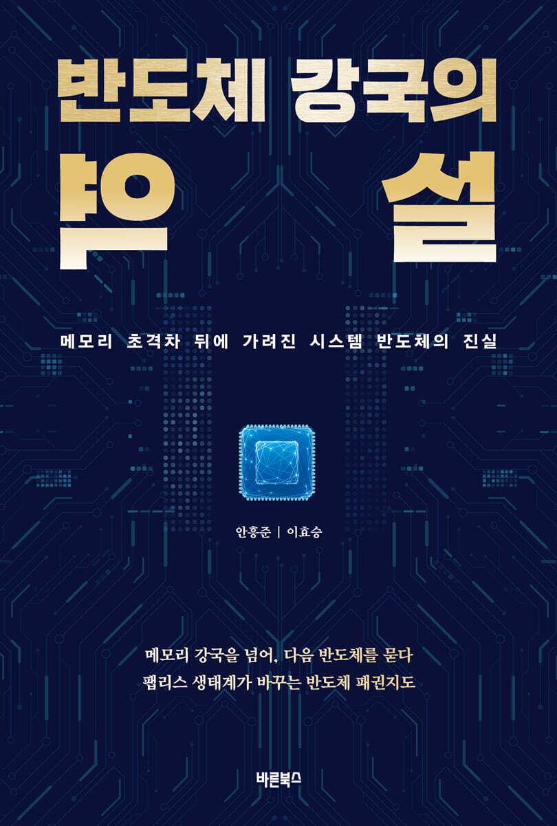 반도체 강국의 역설