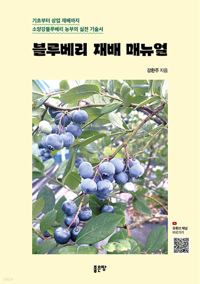 블루베리 재배 매뉴얼