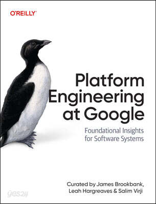 Platform Engineering at Google: Foundational Insights for Software Systems