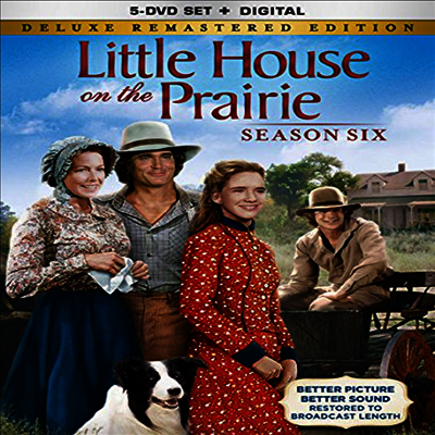 Little House On The Prairie: Season Six (초원의 집)(지역코드1)(한글무자막)(DVD)
