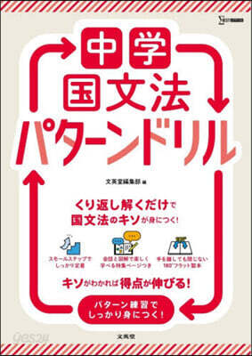 中學國文法パタ-ンドリル