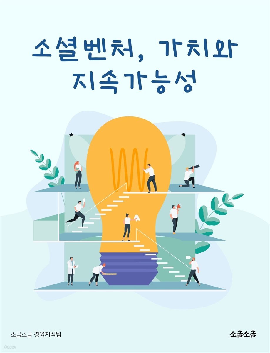 소셜벤처, 가치와 지속가능성